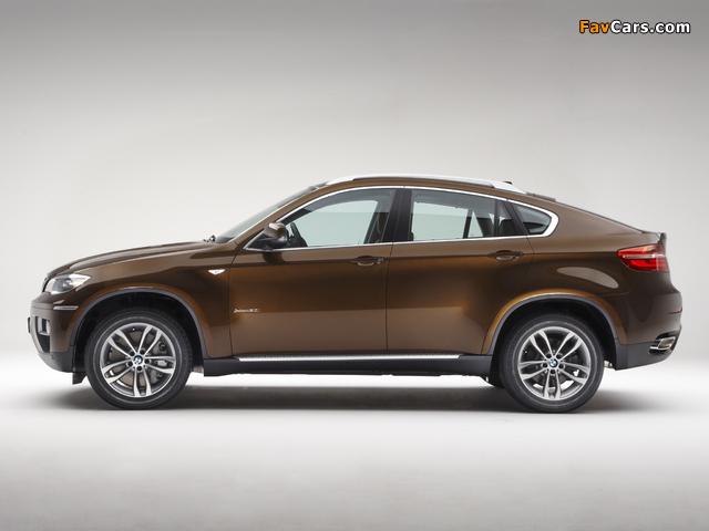 BMW X6 xDrive50i (E71) 2012 pictures (640 x 480)