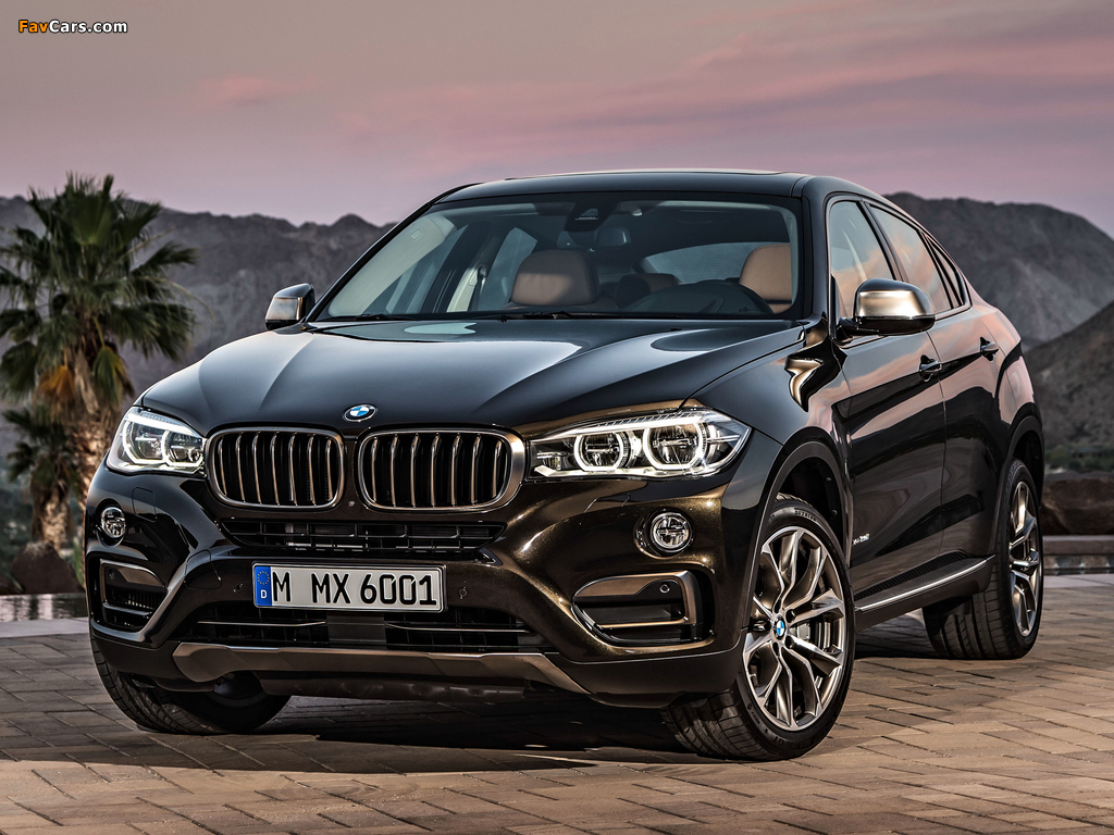 BMW X6 xDrive50i (F16) 2014 wallpapers (1024 x 768)