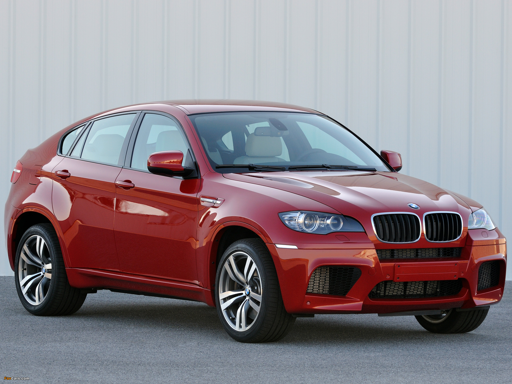 Images of BMW X6 M (E71) 2009 (2048 x 1536)