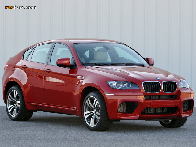 Images of BMW X6 M (E71) 2009 (640 x 480)