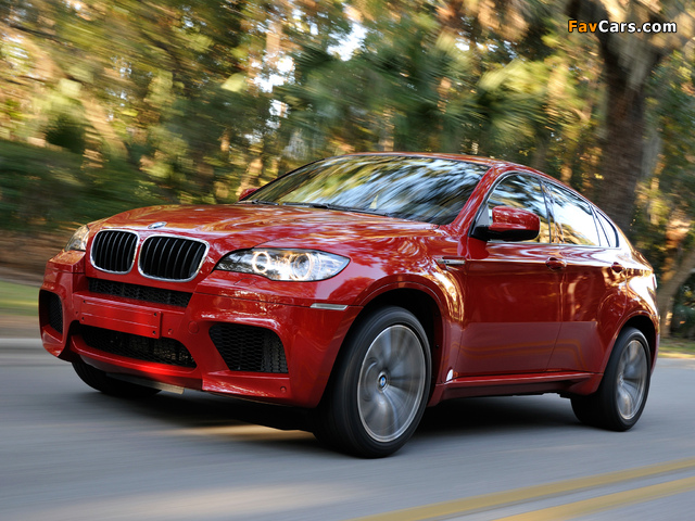 Images of BMW X6 M (E71) 2009 (640 x 480)