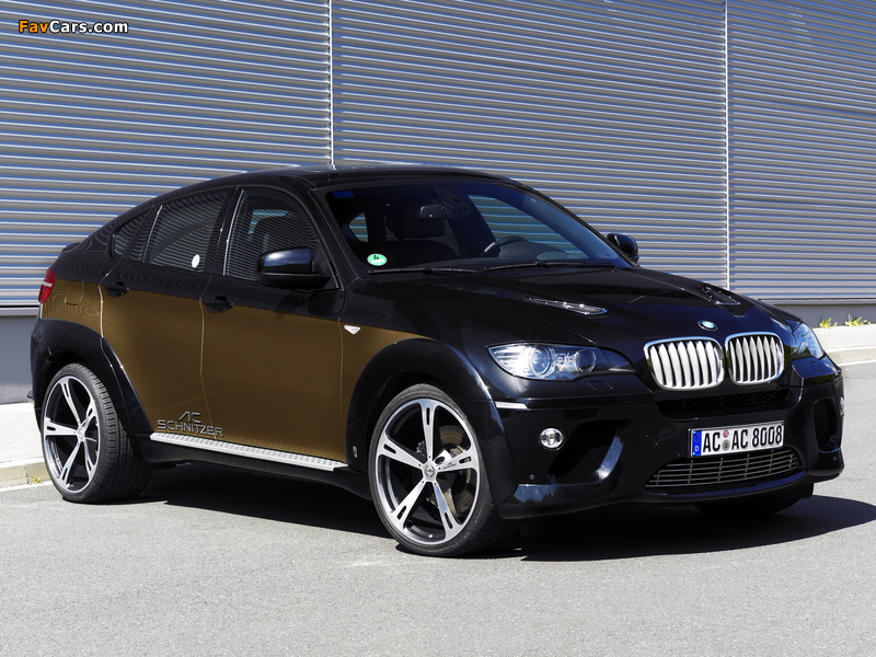 Images of AC Schnitzer ACS6 3.5d Falcon (E71) 2009 (800 x 600)