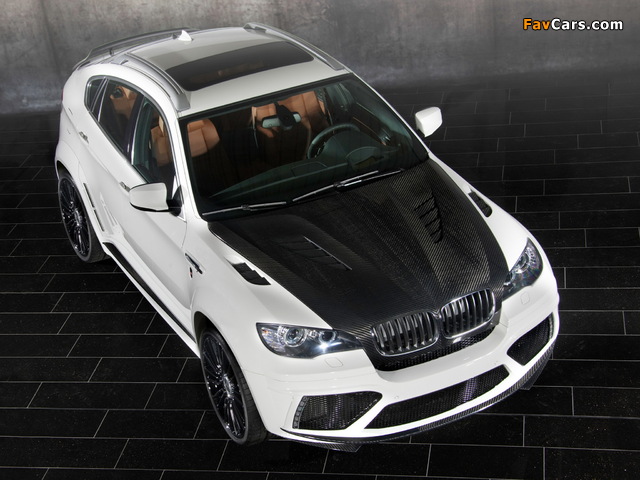 Images of Mansory BMW X6 M 2010 (640 x 480)