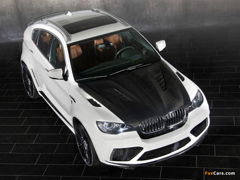 Images of Mansory BMW X6 M 2010 (800 x 600)