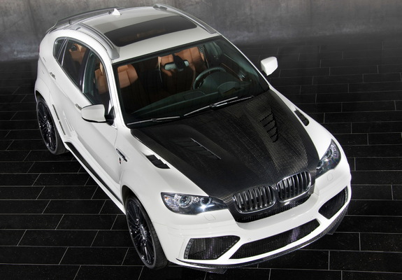Images of Mansory BMW X6 M 2010