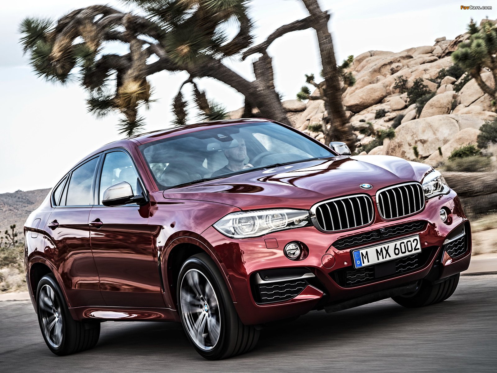 Photos of BMW X6 M50d (F16) 2014 (1600 x 1200)