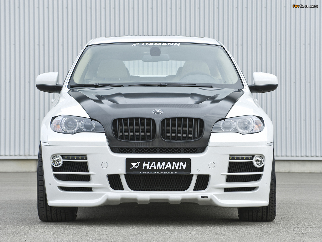 Pictures of Hamann BMW X6 (E71) 2008 (1280 x 960)