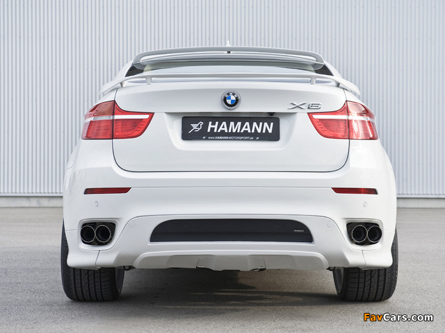 Pictures of Hamann BMW X6 (E71) 2008 (640 x 480)