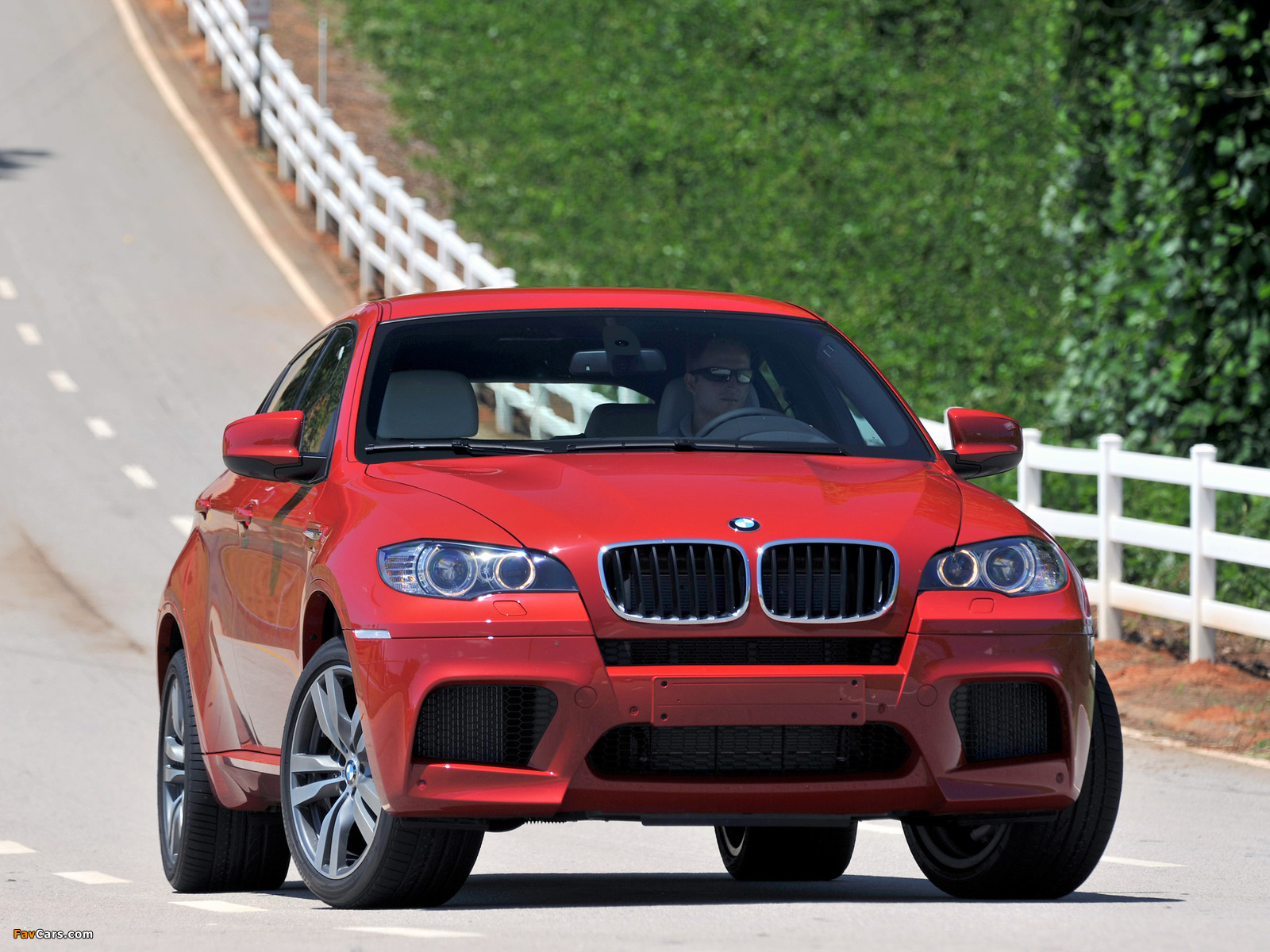 Pictures of BMW X6 M (E71) 2009 (1600 x 1200)