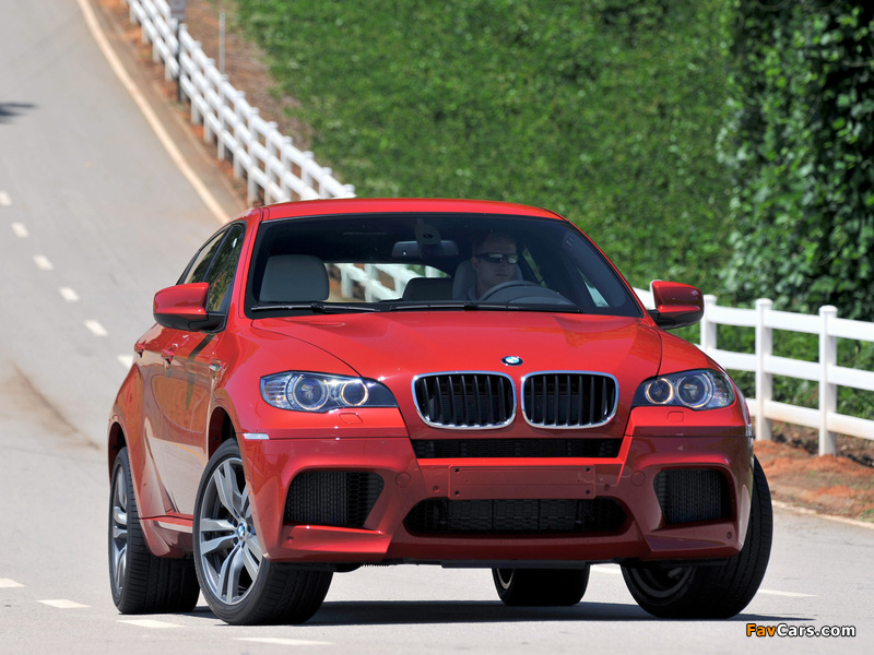 Pictures of BMW X6 M (E71) 2009 (800 x 600)