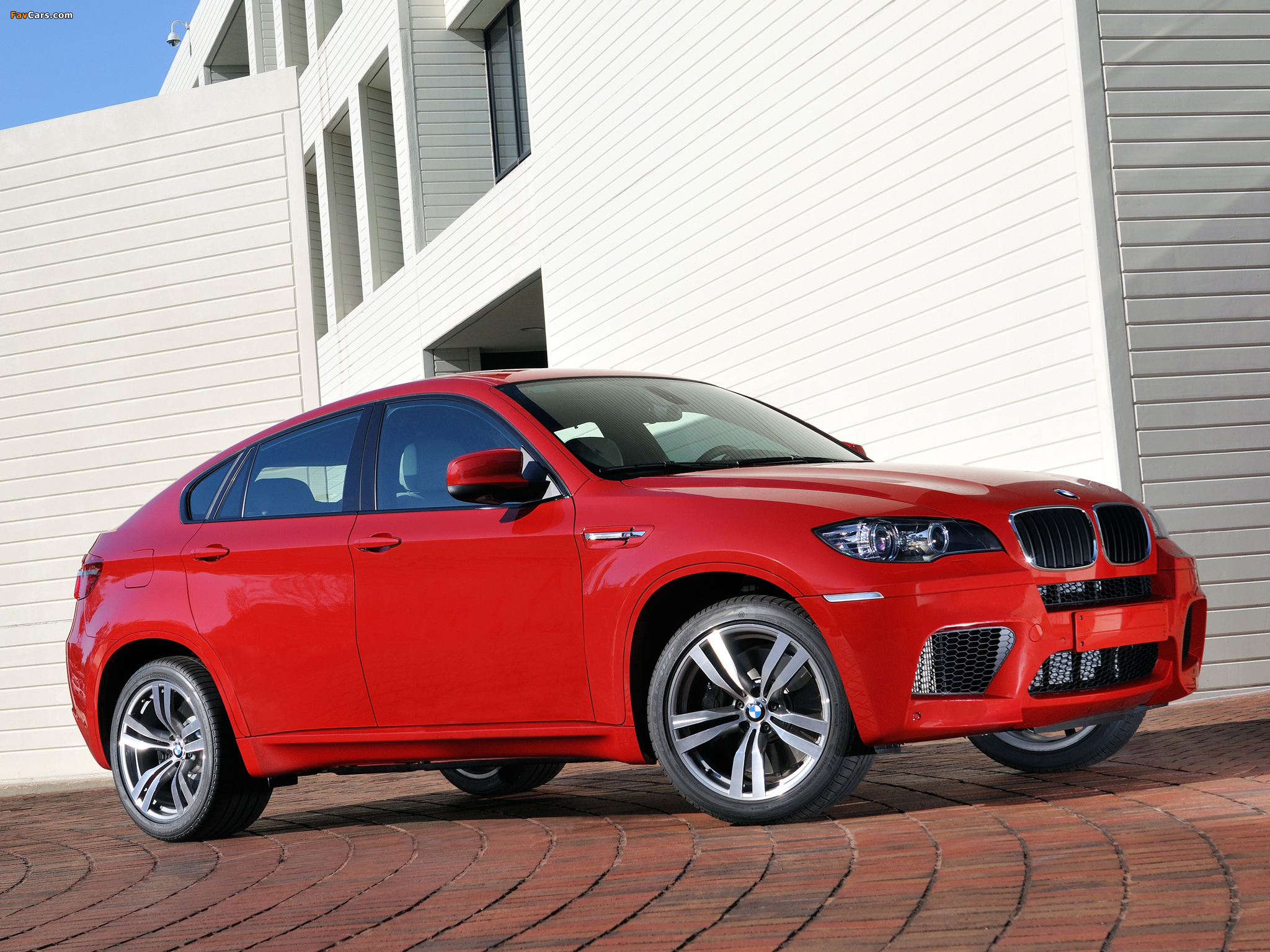 Pictures of BMW X6 M (E71) 2009 (2048 x 1536)