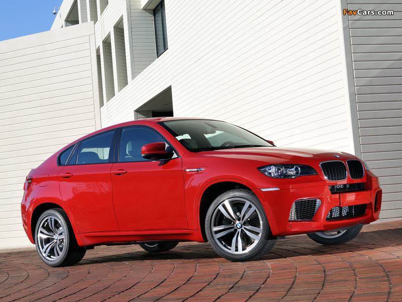 Pictures of BMW X6 M (E71) 2009 (800 x 600)