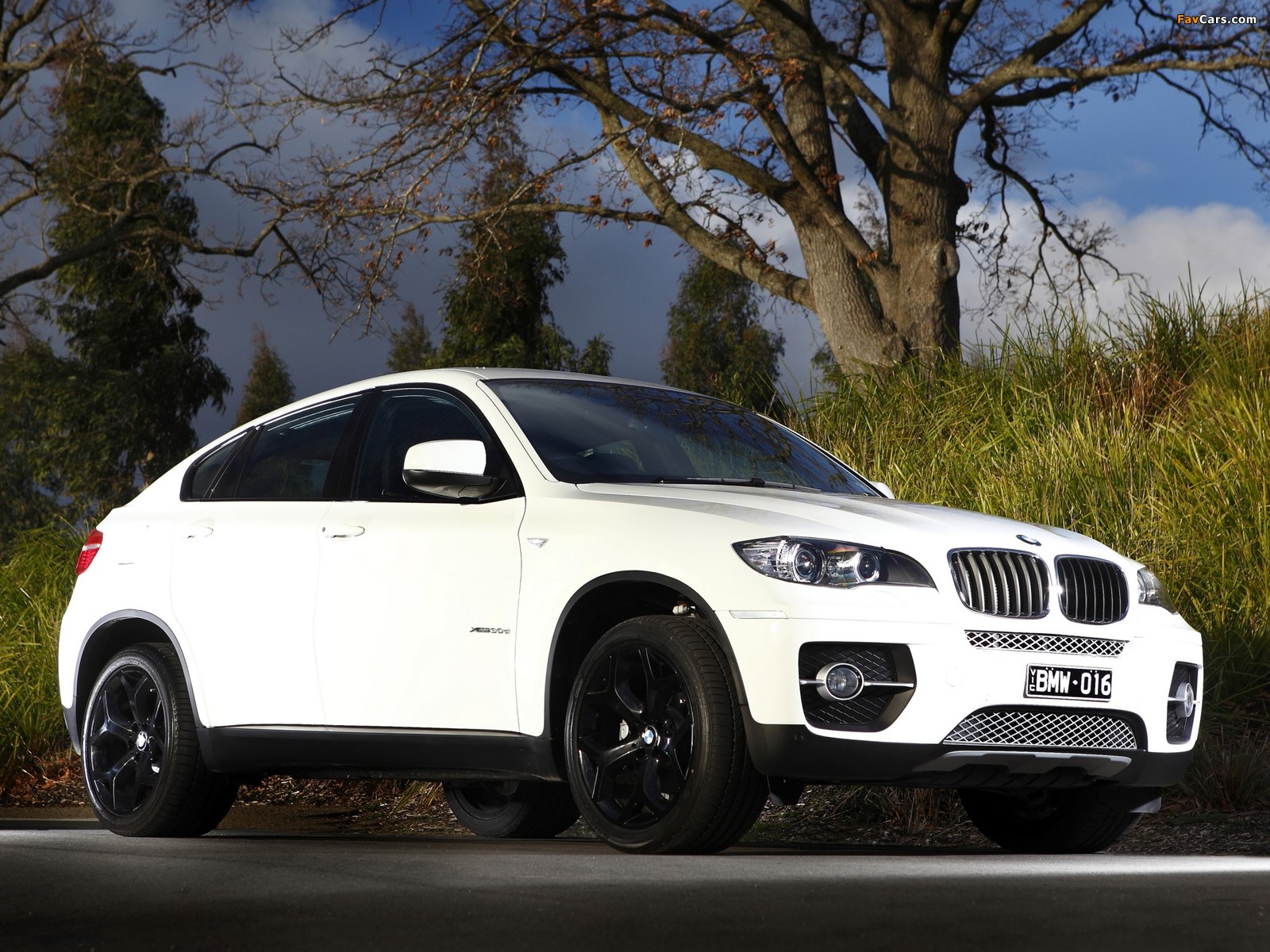 Pictures of BMW X6 xDrive30d AU-spec (E71) 2011 (1600 x 1200)