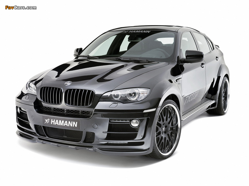Hamann Tycoon (E71) 2009 wallpapers (800 x 600)