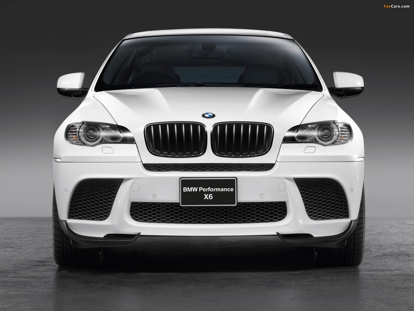 BMW X6 xDrive35i Performance Accessories (E71) 2010 wallpapers (1600 x 1200)