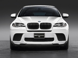 BMW X6 xDrive35i Performance Accessories (E71) 2010 wallpapers