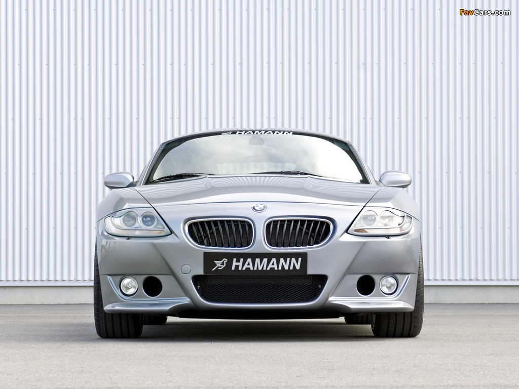 Hamann BMW Z4 M Coupe (E85) 2006–09 photos (1024 x 768)