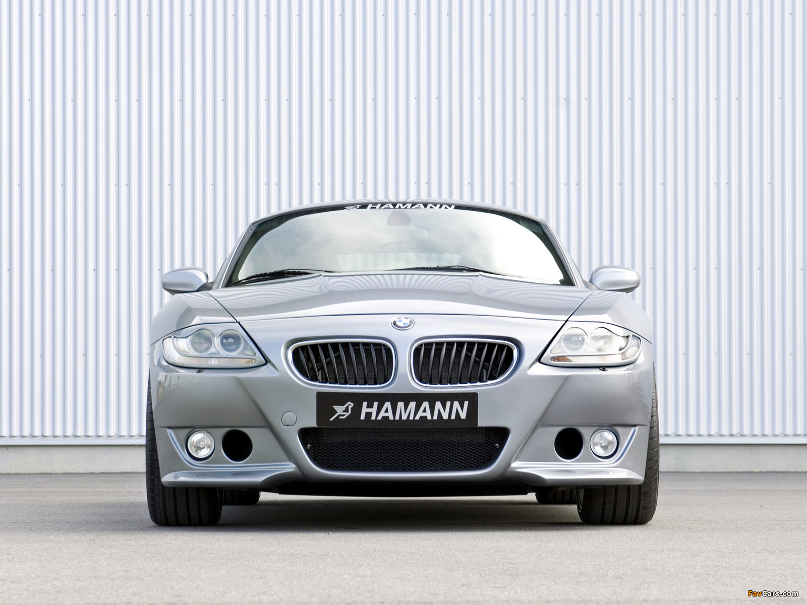 Hamann BMW Z4 M Coupe (E85) 2006–09 photos (1600 x 1200)