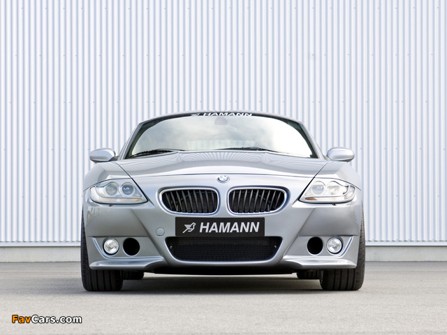 Hamann BMW Z4 M Coupe (E85) 2006–09 photos (640 x 480)