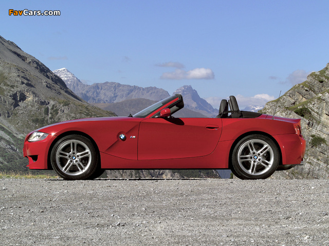 BMW Z4 M Roadster (E85) 2006–08 pictures (640 x 480)