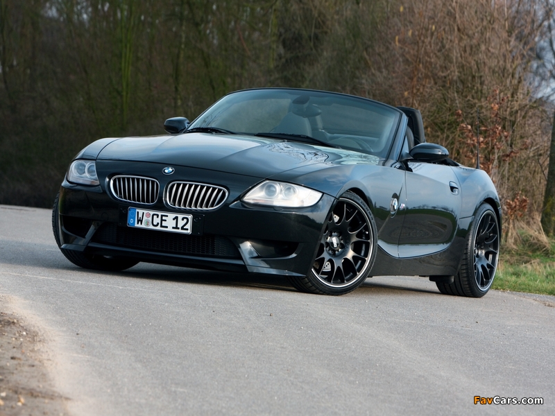 Manhart Racing BMW Z4 V10 (E85) 2009 images (800 x 600)