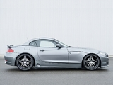 Hamann BMW Z4 Roadster (E89) 2010 pictures