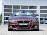 Rieger BMW Z4 (E85) 2010 wallpapers