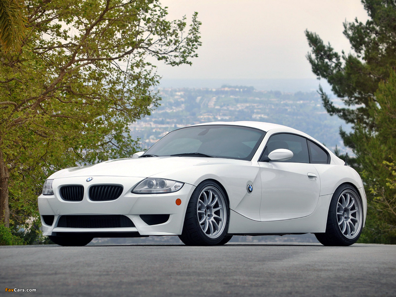 EAS BMW Z4 M Coupe (E85) 2012 images (1280 x 960)