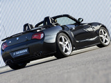 Hamann BMW Z4 M Roadster (E85) photos