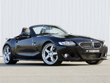 Hamann BMW Z4 M Roadster (E85) pictures