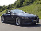 Images of AC Schnitzer ACS4 Sport Roadster (E85) 2005–09