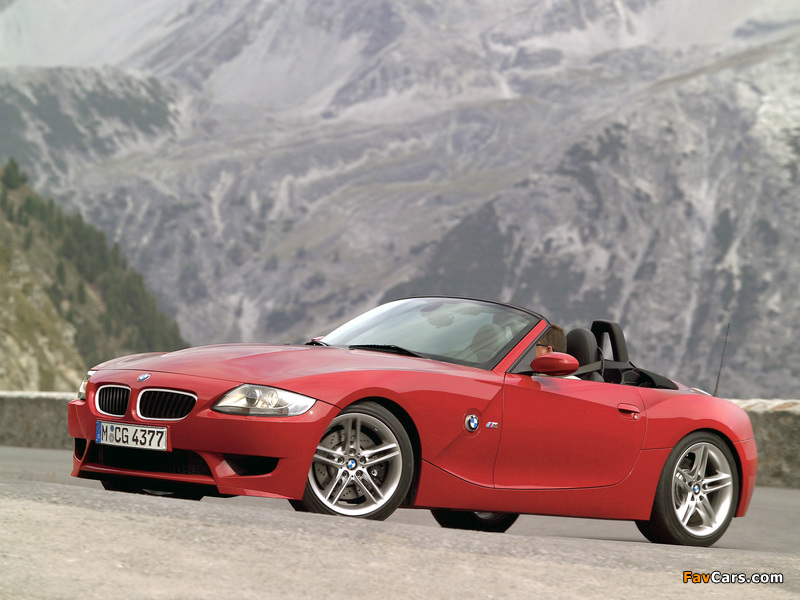 Images of BMW Z4 M Roadster (E85) 2006–08 (800 x 600)