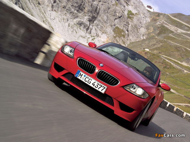 Images of BMW Z4 M Roadster (E85) 2006–08 (640 x 480)