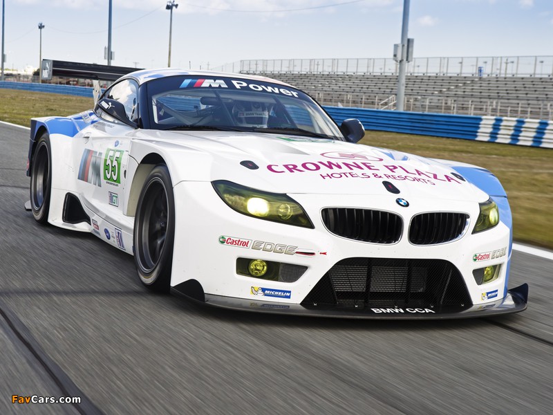 Images of BMW Z4 GTE (E89) 2013 (800 x 600)