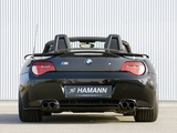 Pictures of Hamann BMW Z4 M Roadster (E85)