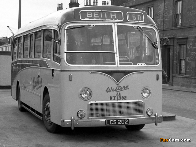 Images of Bristol MW6G (C41F) 1958– (640 x 480)