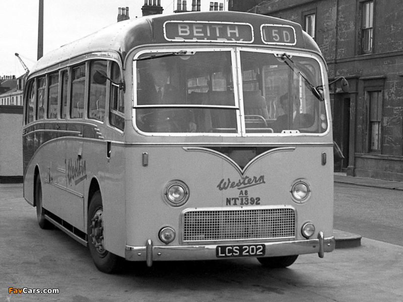 Images of Bristol MW6G (C41F) 1958– (800 x 600)