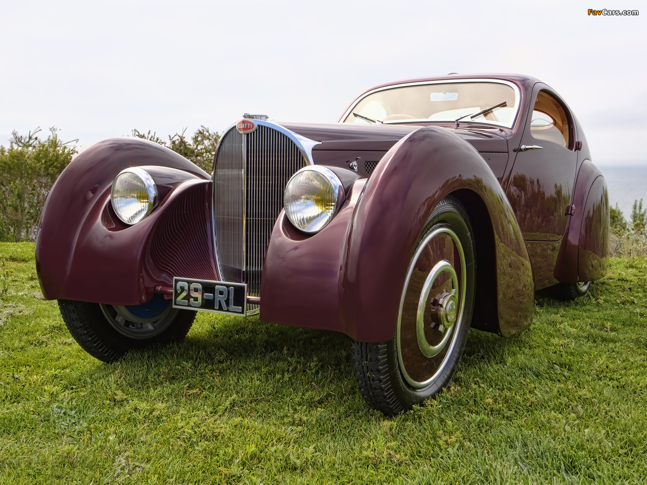 Bugatti Type 51 Dubos Coupe 1931 images (1280 x 960)