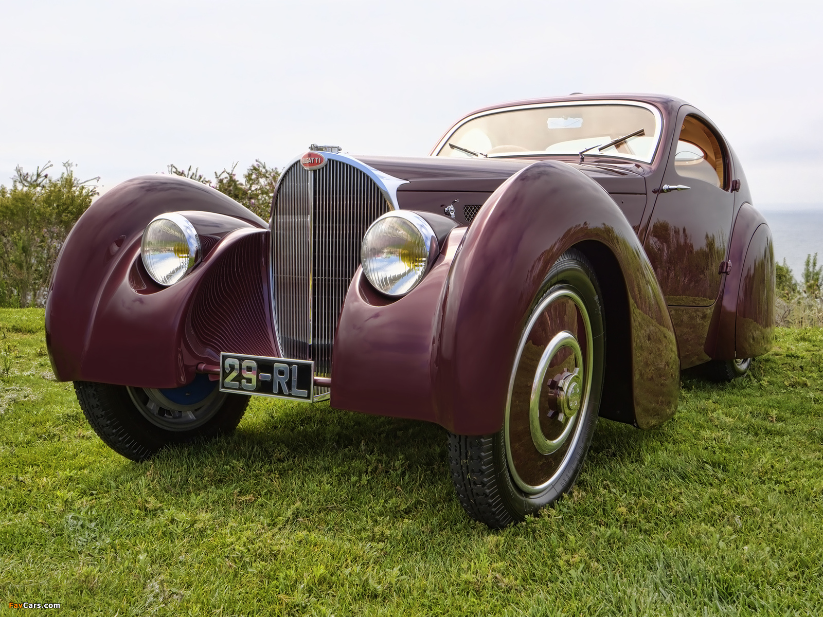 Bugatti Type 51 Dubos Coupe 1931 images (1600 x 1200)