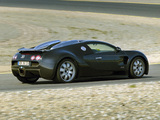 Bugatti EB 16.4 Veyron Prototype 2004 photos