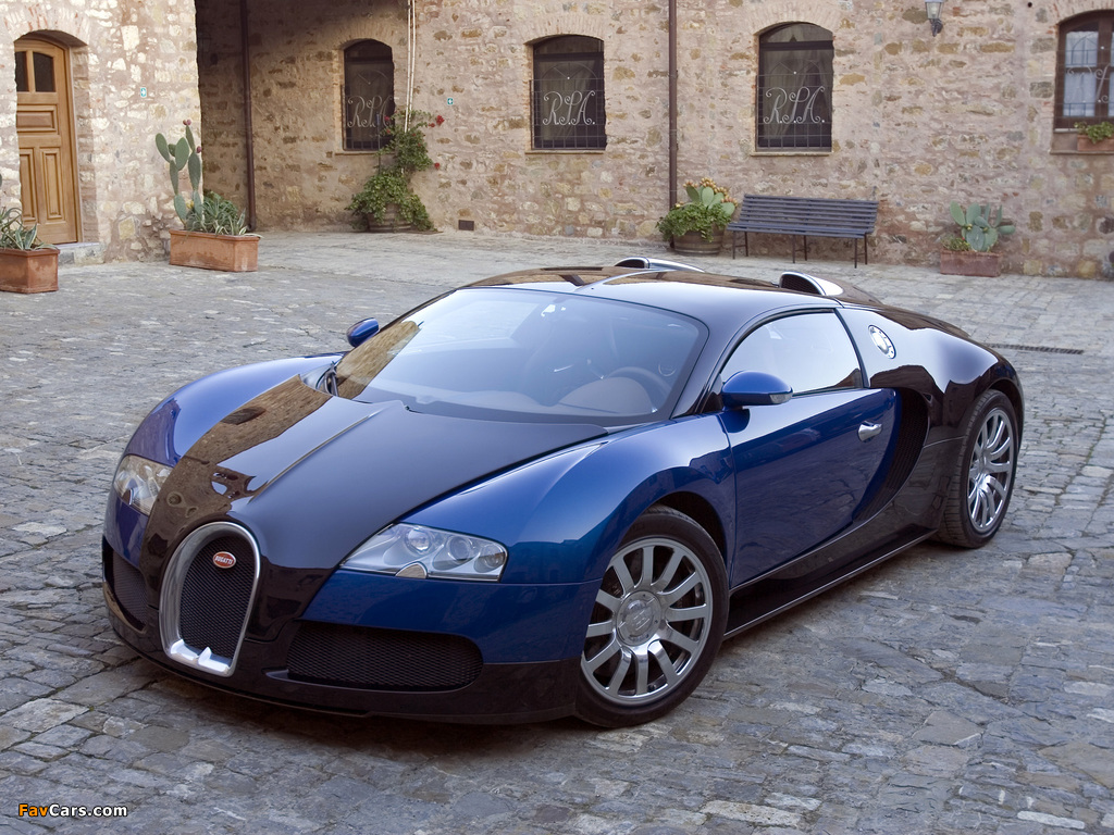 Bugatti Veyron 2005–11 photos (1024 x 768)