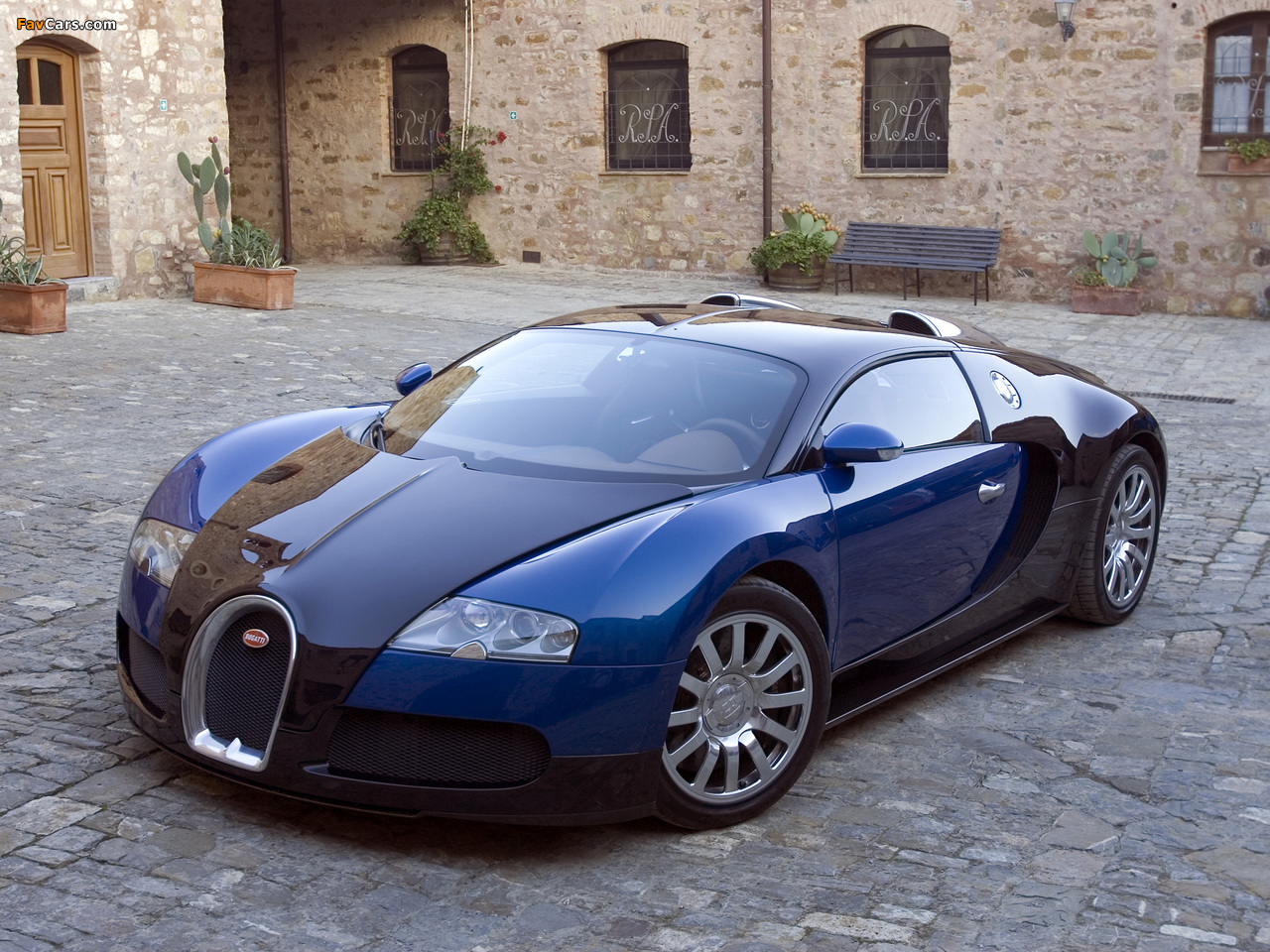 Bugatti Veyron 2005–11 photos (1280 x 960)