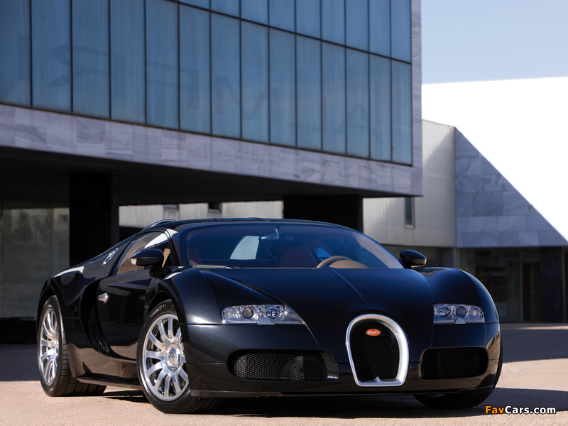 Bugatti Veyron 2005–11 pictures (800 x 600)