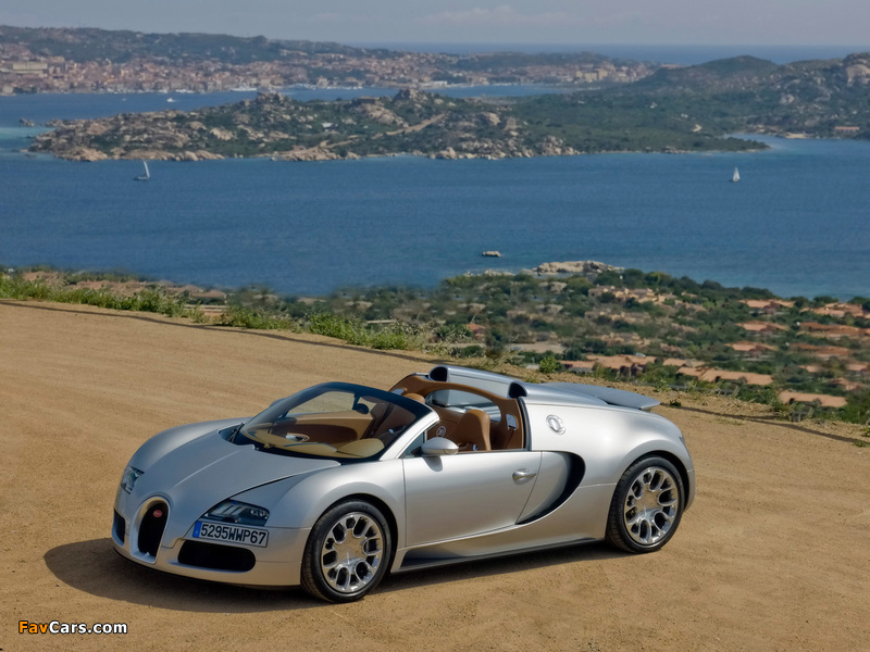 Bugatti Veyron Grand Sport Roadster 2008 photos (800 x 600)