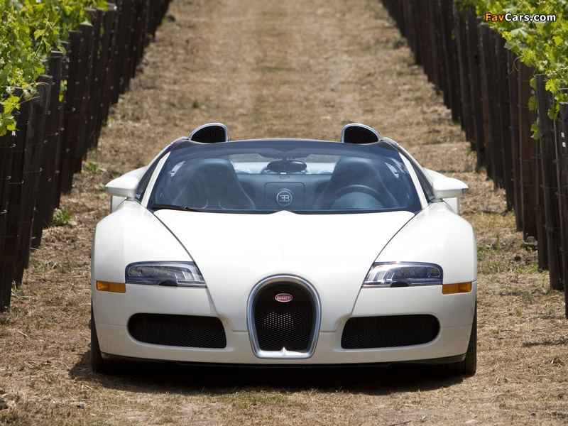 Bugatti Veyron Grand Sport Roadster US-spec 2008 photos (800 x 600)