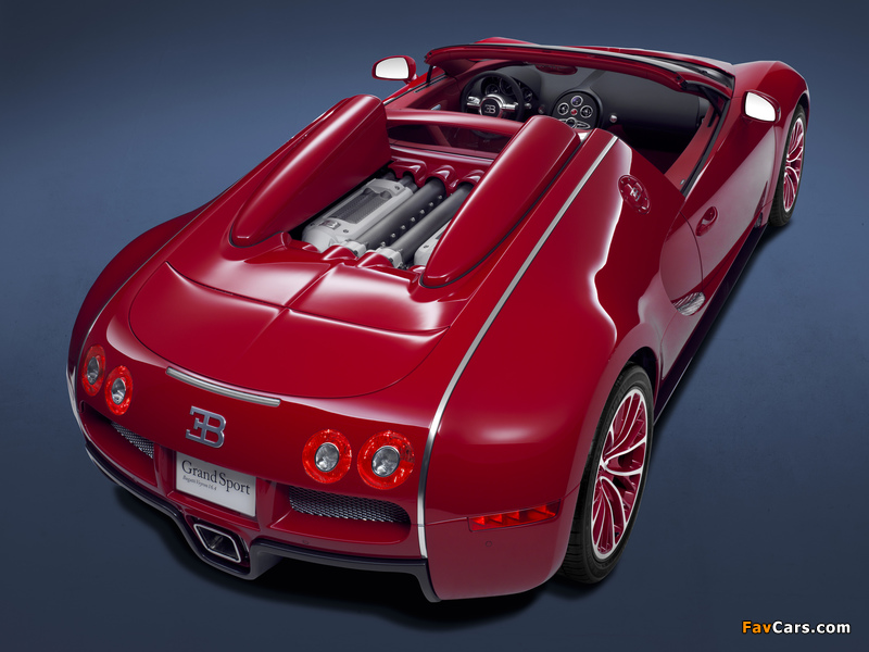Bugatti Veyron Grand Sport Roadster US-spec 2008 photos (800 x 600)