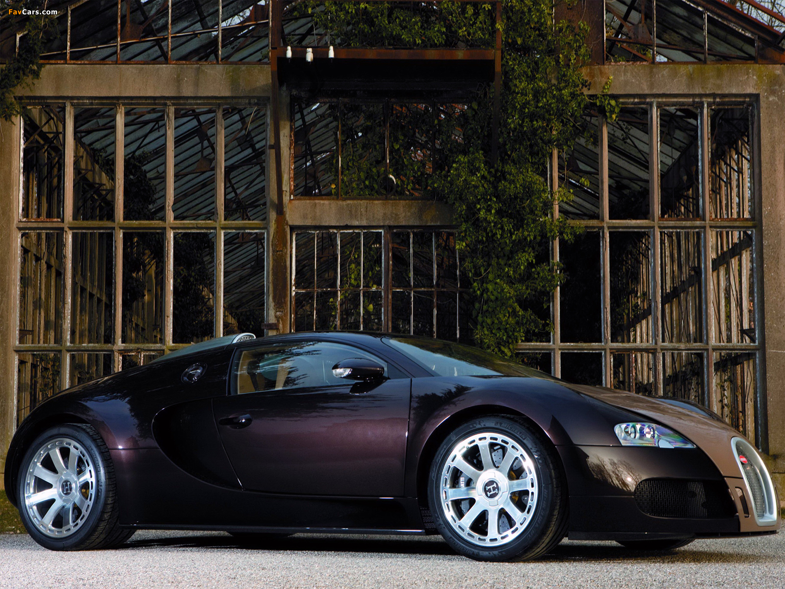 Bugatti Veyron Fbg Par Hermes 2008 photos (1600 x 1200)
