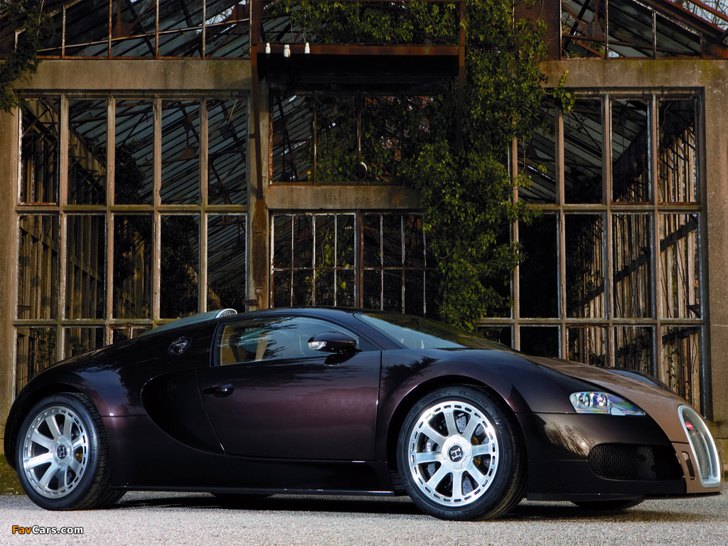Bugatti Veyron Fbg Par Hermes 2008 photos (1024 x 768)