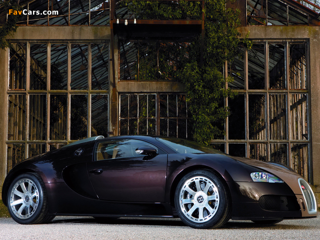 Bugatti Veyron Fbg Par Hermes 2008 photos (640 x 480)
