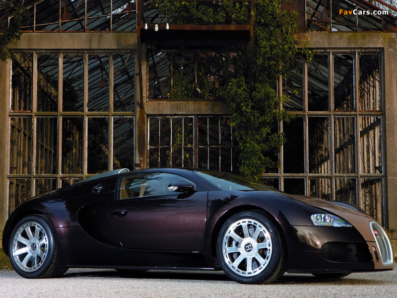 Bugatti Veyron Fbg Par Hermes 2008 photos (800 x 600)